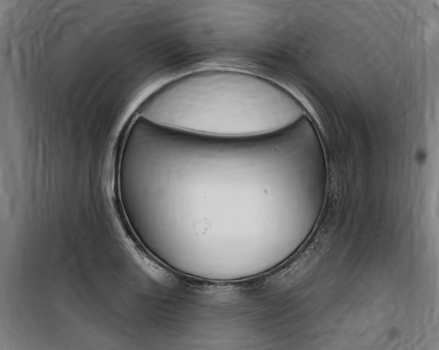 X0000100871131200806200856