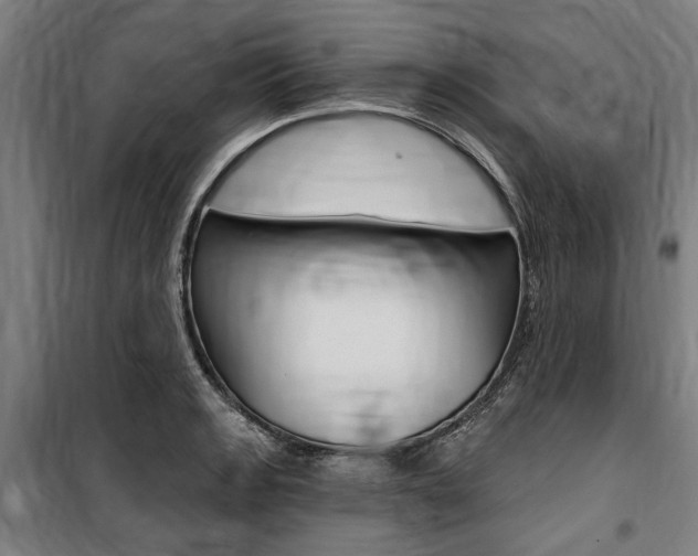 X0000100871133200806200856