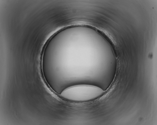 X0000100871134200806200856