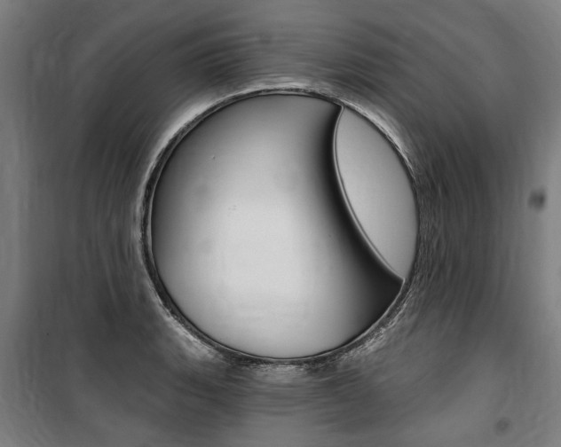 X0000100871135200806200856