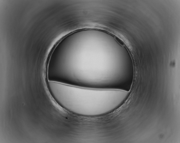X0000100871136200806200856