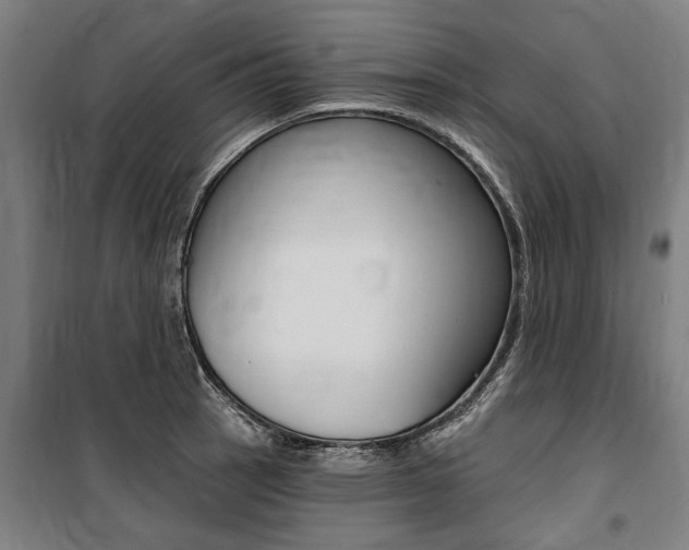 X0000100871137200806200856