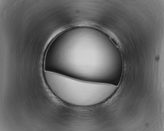 X0000100871138200806200856