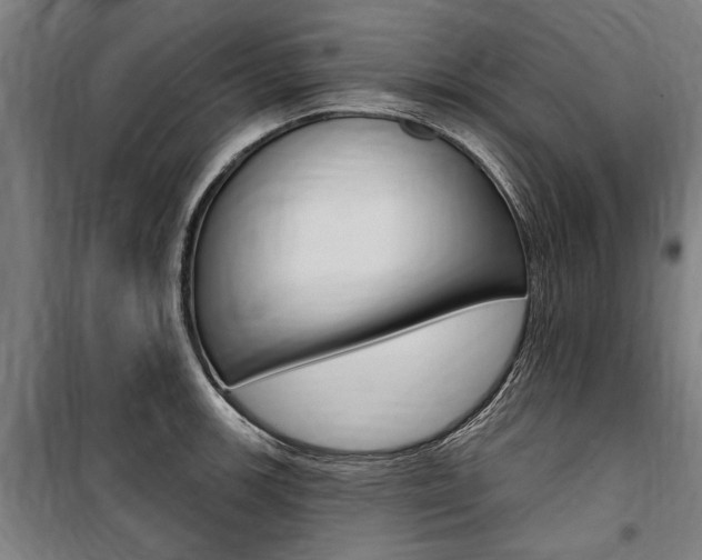 X0000100871139200806200856