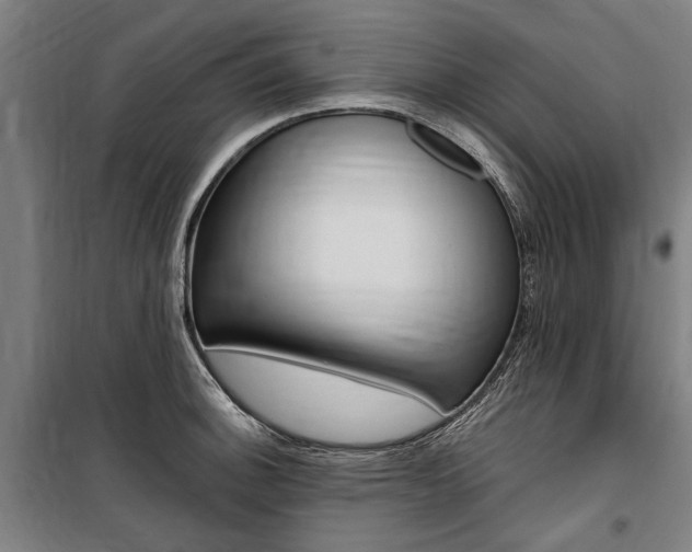 X0000100871140200806200856