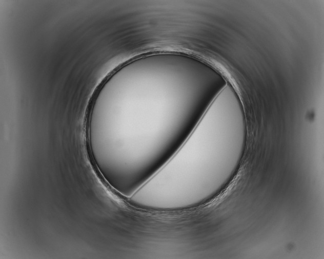 X0000100871141200806200856