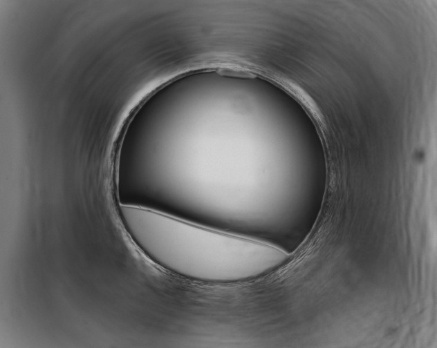 X0000100871144200806200856