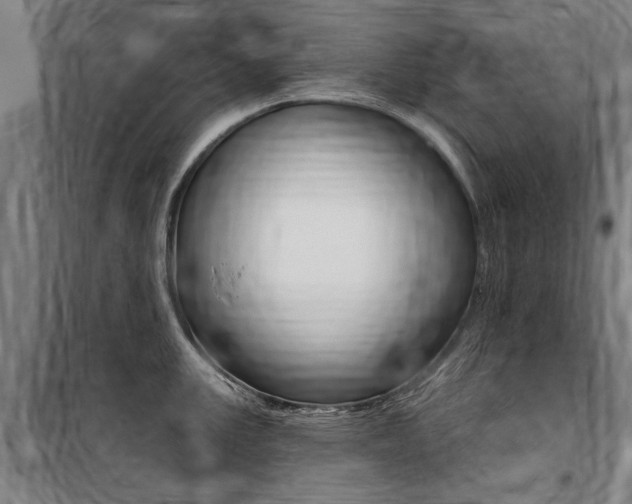 X0000100871147200806200856