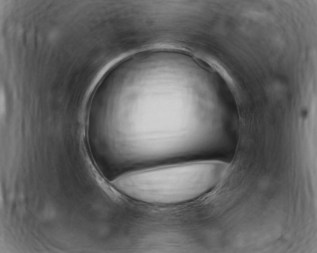 X0000100871148200806200856