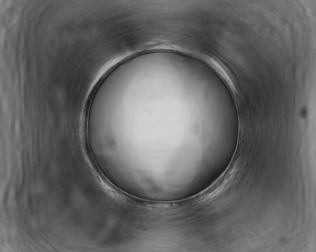 X0000100871149200806200856