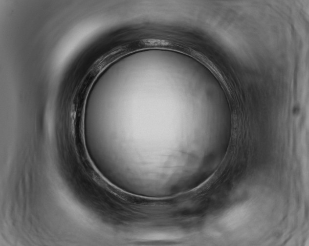 X0000100871151200806200856