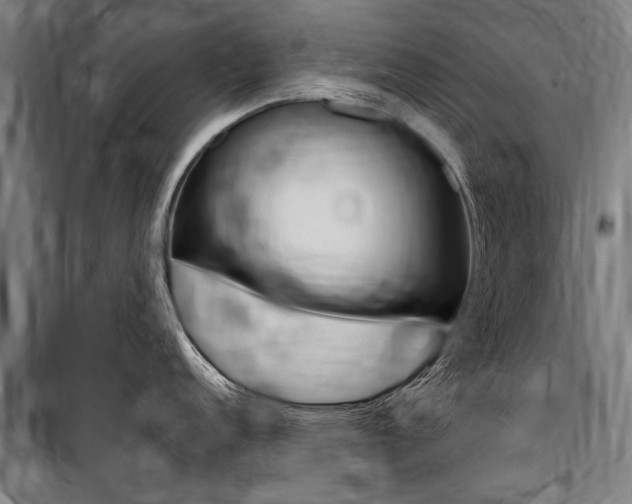X0000100871152200806200857