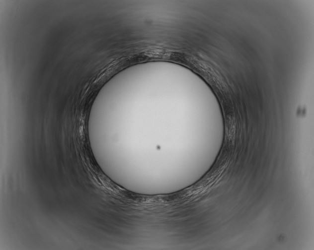 X0000100871154200806200856