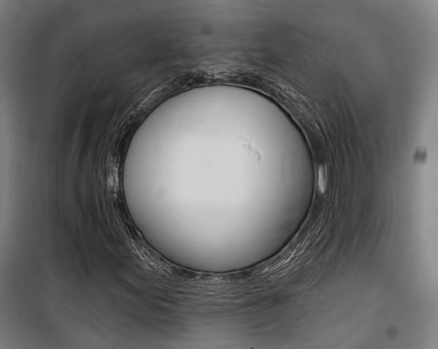 X0000100871155200806200856