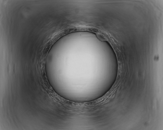 X0000100871157200806200856