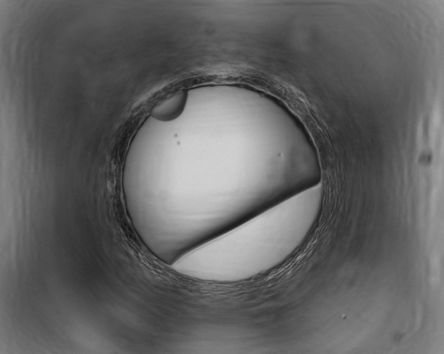 X0000100871158200806200856