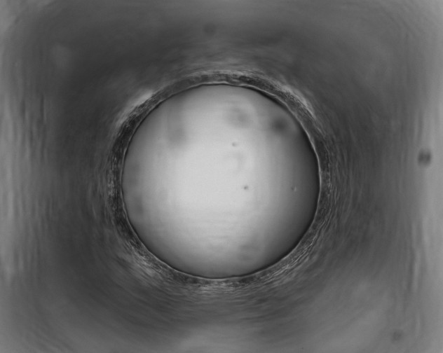 X0000100871159200806200856