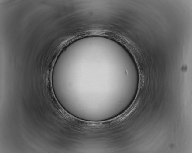 X0000100871161200806200856