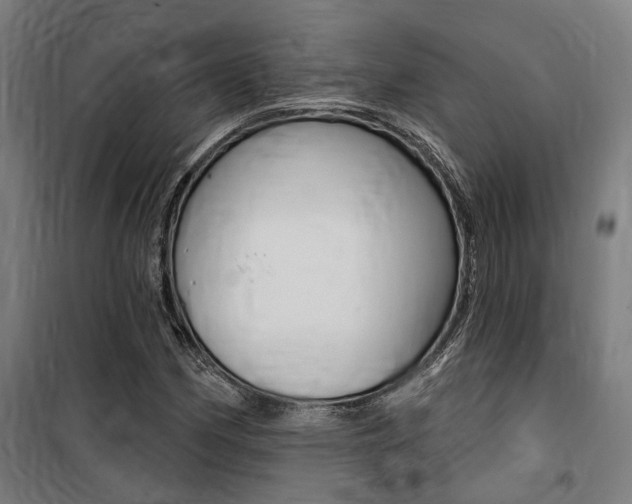 X0000100871162200806200856