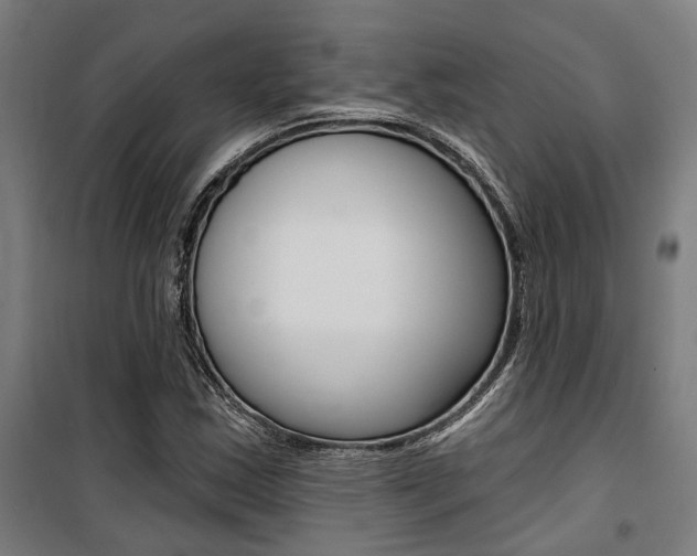 X0000100871163200806200856