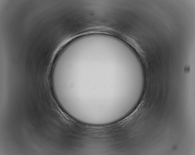 X0000100871164200806200856