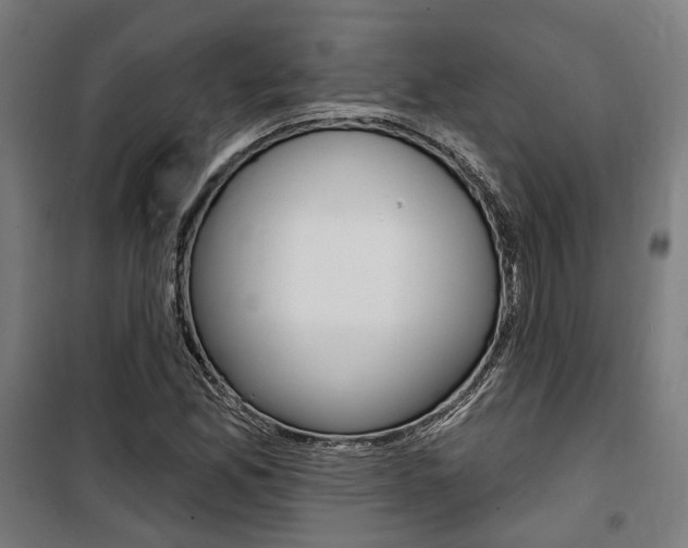 X0000100871165200806200856