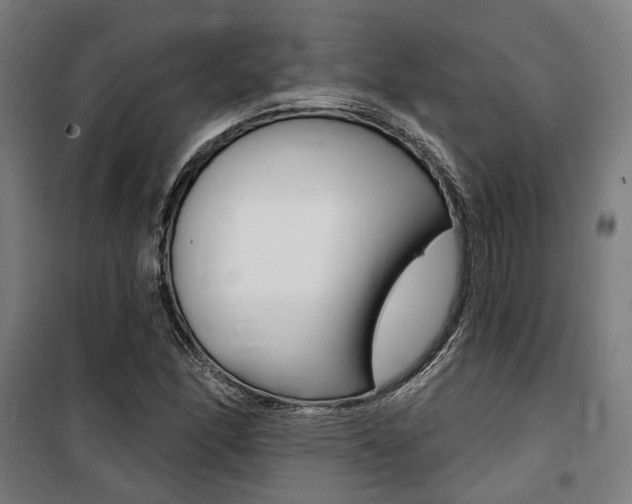 X0000100871166200806200856