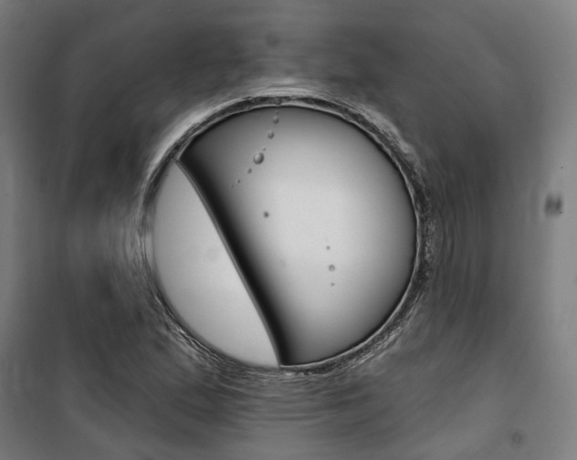 X0000100871167200806200856
