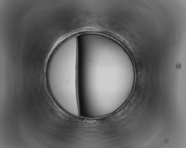 X0000100871168200806200856