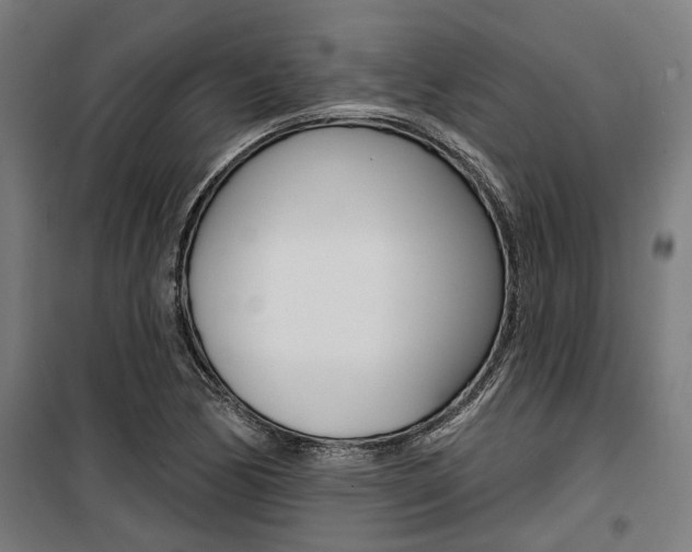 X0000100871170200806200856