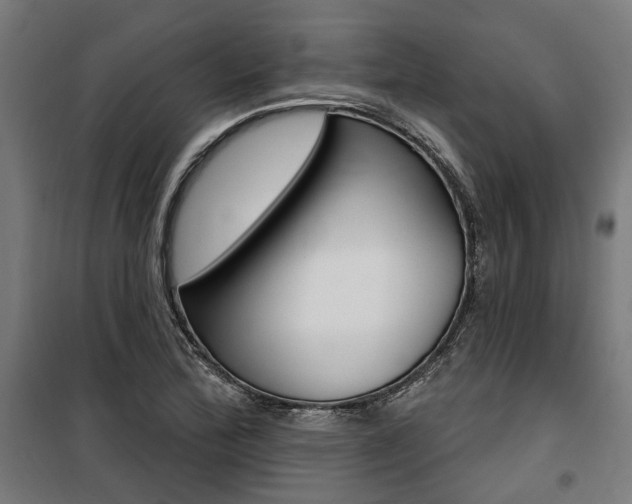 X0000100871172200806200856