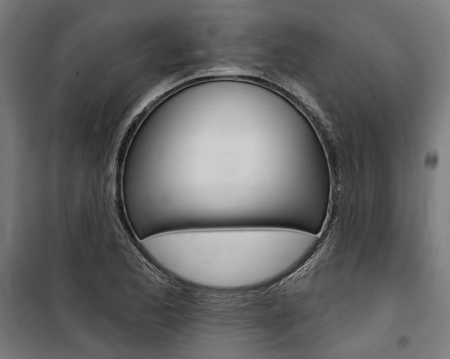 X0000100871173200806200856