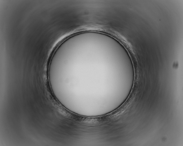 X0000100871174200806200856