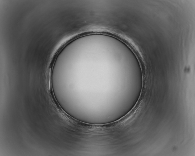 X0000100871175200806200856