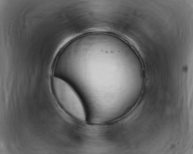 X0000100871179200806200855