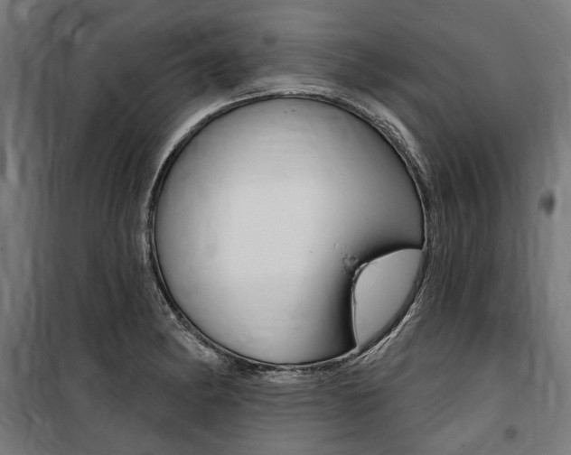 X0000100871182200806200855