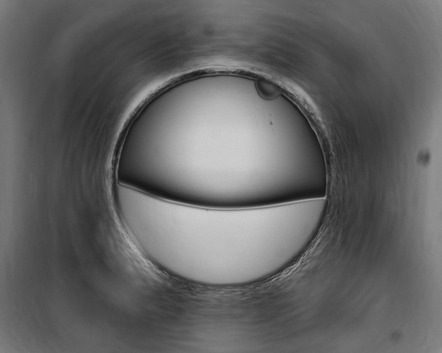 X0000100871183200806200855