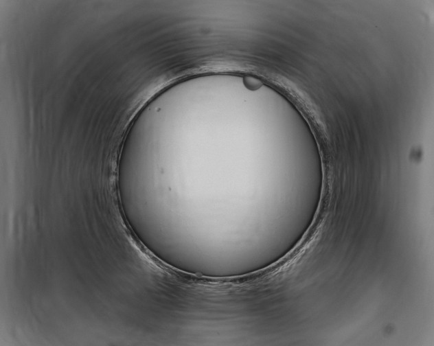 X0000100871185200806200855
