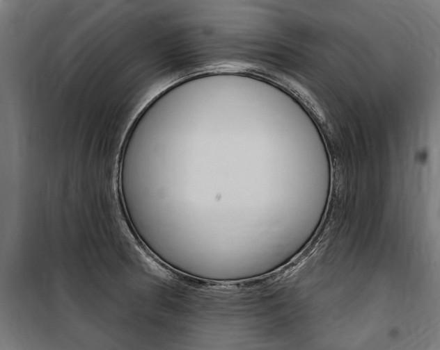 X0000100871186200806200855