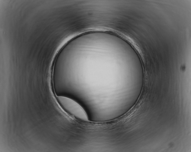 X0000100871187200806200855