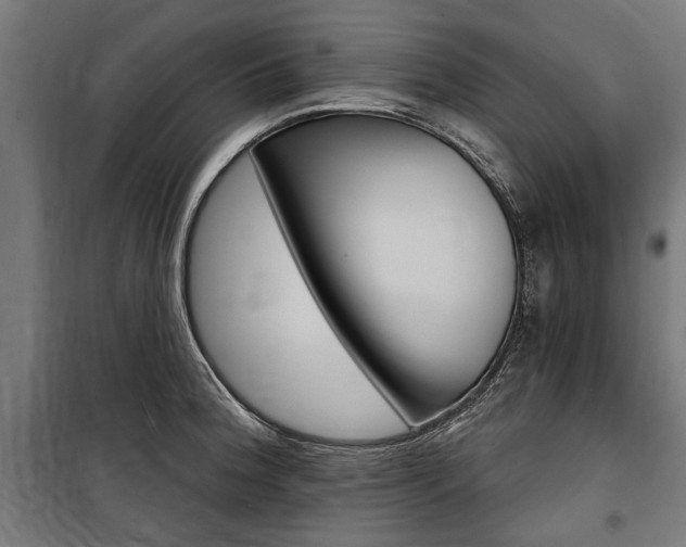 X0000100871188200806200855