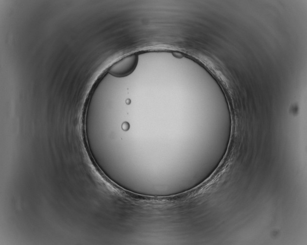 X0000100871189200806200855