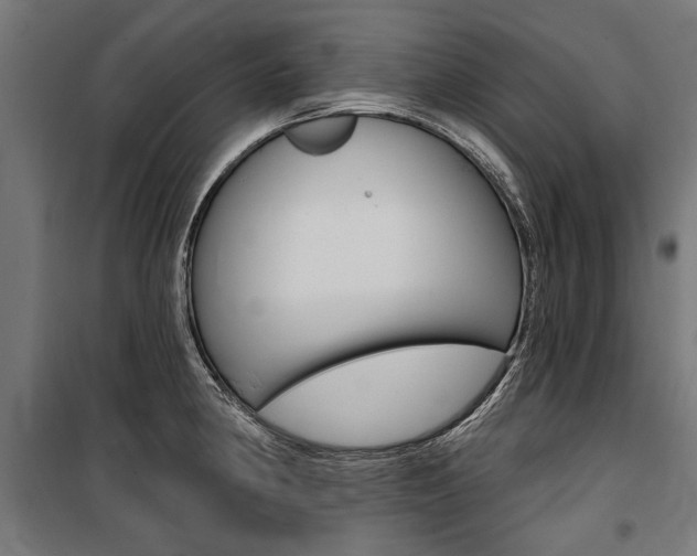 X0000100871190200806200855