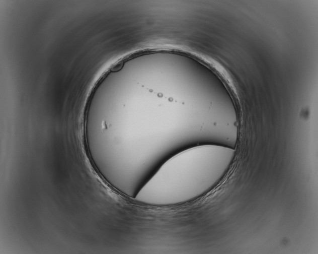 X0000100871191200806200855