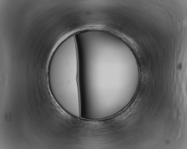 X0000100871192200806200855