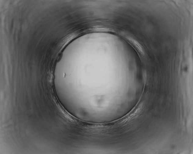 X0000100871193200806200855