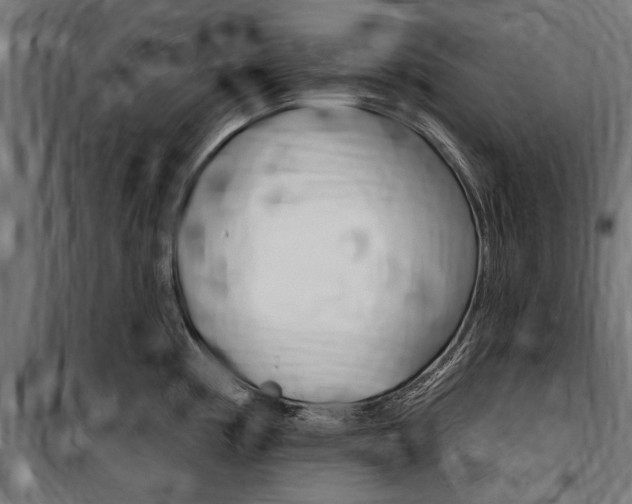 X0000100871194200806200855
