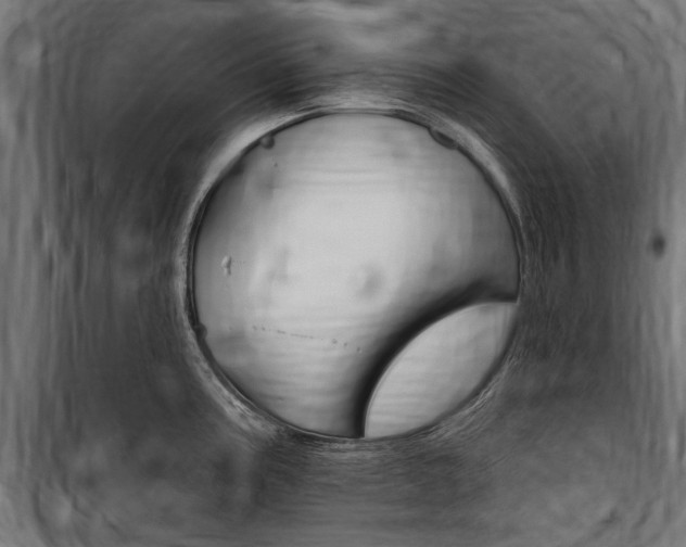 X0000100871195200806200855
