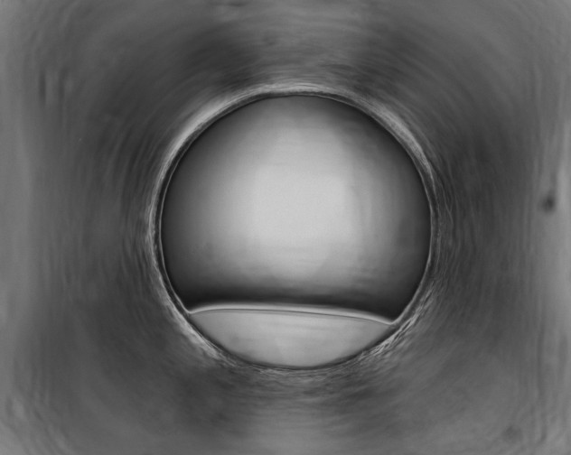 X0000100871197200806200855