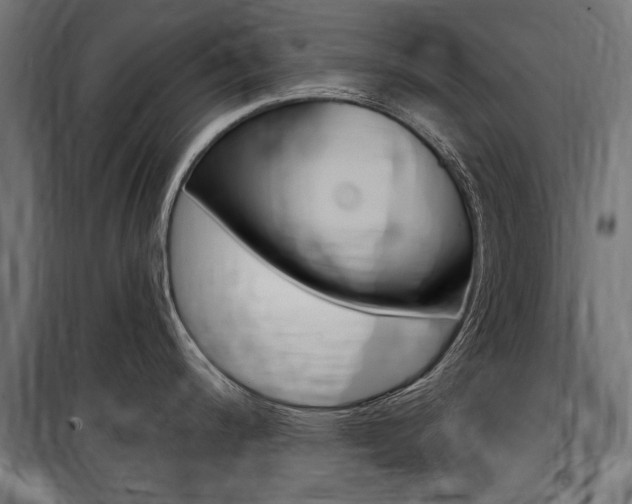 X0000100871200200806200855